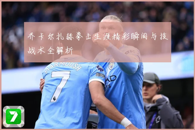 乔卡尔扎赫拳击生涯精彩瞬间与技战术全解析