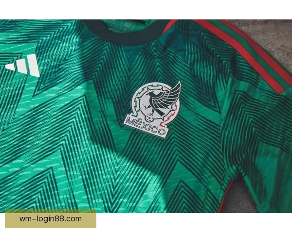 加拿大足协呼吁本国意大利球迷换球衣不要再等四年支持球队 加拿大足协呼吁本国意大利球迷换球衣不要再等四年支持球队